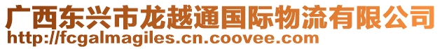 廣西東興市龍越通國際物流有限公司