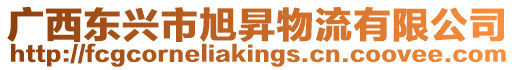 廣西東興市旭昇物流有限公司