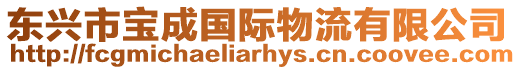東興市寶成國際物流有限公司