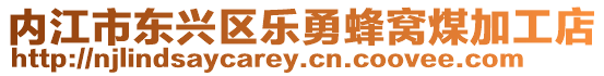 內江市東興區樂勇蜂窩煤加工店