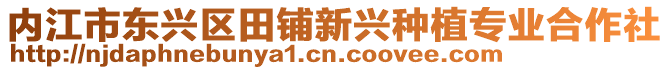 內(nèi)江市東興區(qū)田鋪新興種植專業(yè)合作社