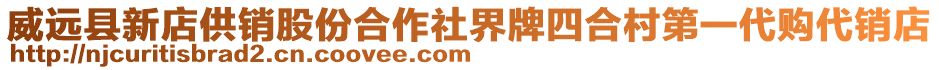 威遠縣新店供銷股份合作社界牌四合村第一代購代銷店