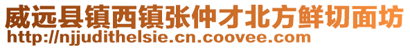 威远县镇西镇张仲才北方鲜切面坊