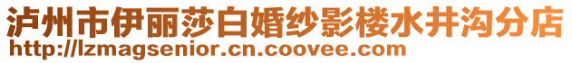 瀘州市伊麗莎白婚紗影樓水井溝分店