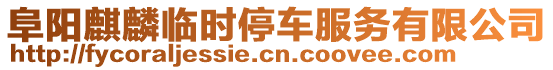 阜陽麒麟臨時停車服務有限公司