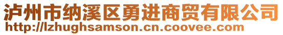 瀘州市納溪區(qū)勇進商貿(mào)有限公司