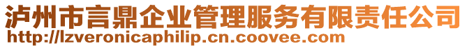 瀘州市言鼎企業(yè)管理服務有限責任公司