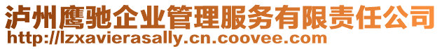 瀘州鷹馳企業(yè)管理服務有限責任公司