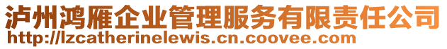 瀘州鴻雁企業(yè)管理服務(wù)有限責(zé)任公司