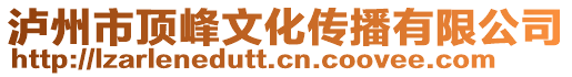 瀘州市頂峰文化傳播有限公司