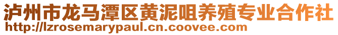 瀘州市龍馬潭區(qū)黃泥咀養(yǎng)殖專業(yè)合作社