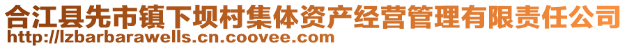 合江縣先市鎮(zhèn)下壩村集體資產(chǎn)經(jīng)營管理有限責(zé)任公司