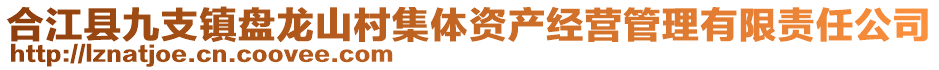 合江縣九支鎮(zhèn)盤龍山村集體資產(chǎn)經(jīng)營(yíng)管理有限責(zé)任公司