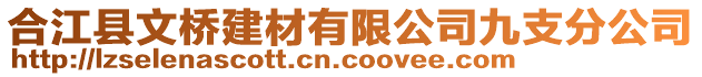 合江縣文橋建材有限公司九支分公司