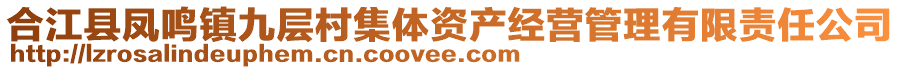 合江縣鳳鳴鎮(zhèn)九層村集體資產(chǎn)經(jīng)營管理有限責任公司