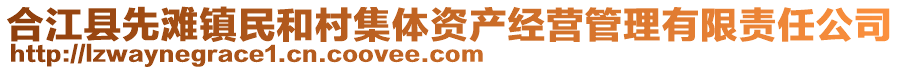 合江縣先灘鎮(zhèn)民和村集體資產(chǎn)經(jīng)營(yíng)管理有限責(zé)任公司