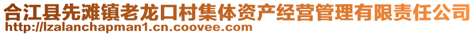 合江縣先灘鎮(zhèn)老龍口村集體資產(chǎn)經(jīng)營(yíng)管理有限責(zé)任公司