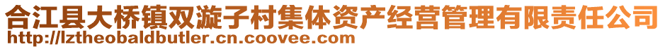 合江縣大橋鎮(zhèn)雙漩子村集體資產(chǎn)經(jīng)營管理有限責(zé)任公司