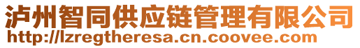 瀘州智同供應(yīng)鏈管理有限公司