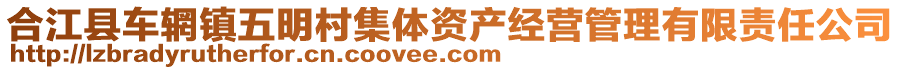 合江縣車輞鎮(zhèn)五明村集體資產(chǎn)經(jīng)營(yíng)管理有限責(zé)任公司