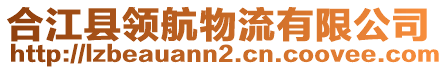 合江縣領(lǐng)航物流有限公司