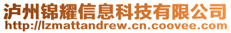 瀘州錦耀信息科技有限公司