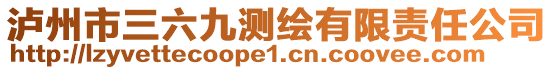 瀘州市三六九測繪有限責任公司