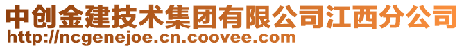 中創(chuàng)金建技術(shù)集團(tuán)有限公司江西分公司