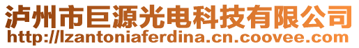 瀘州市巨源光電科技有限公司