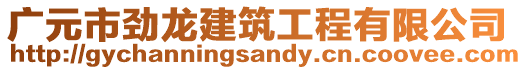 廣元市勁龍建筑工程有限公司