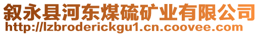 敘永縣河?xùn)|煤硫礦業(yè)有限公司