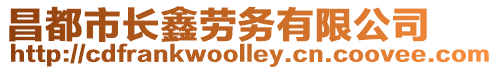 昌都市長鑫勞務有限公司