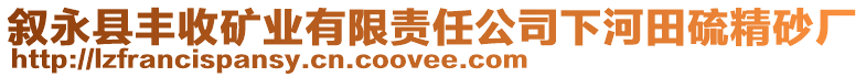敘永縣豐收礦業(yè)有限責(zé)任公司下河田硫精砂廠
