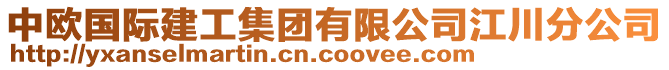 中歐國際建工集團有限公司江川分公司