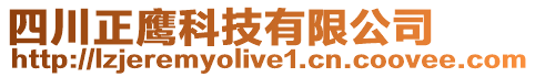 四川正鷹科技有限公司