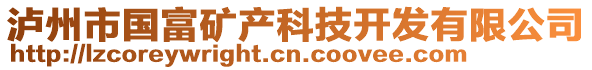 瀘州市國(guó)富礦產(chǎn)科技開發(fā)有限公司