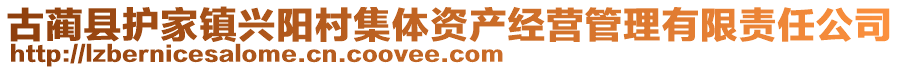 古藺縣護(hù)家鎮(zhèn)興陽(yáng)村集體資產(chǎn)經(jīng)營(yíng)管理有限責(zé)任公司