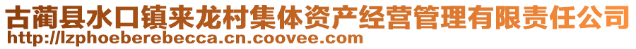 古藺縣水口鎮(zhèn)來(lái)龍村集體資產(chǎn)經(jīng)營(yíng)管理有限責(zé)任公司