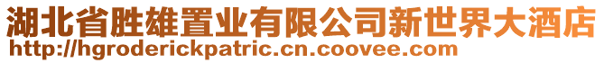 湖北省勝雄置業(yè)有限公司新世界大酒店