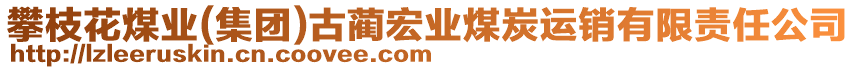 攀枝花煤業(yè)(集團)古藺宏業(yè)煤炭運銷有限責(zé)任公司