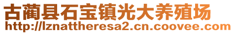 古藺縣石寶鎮(zhèn)光大養(yǎng)殖場