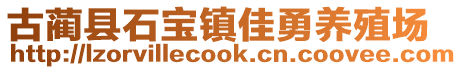 古蔺县石宝镇佳勇养殖场