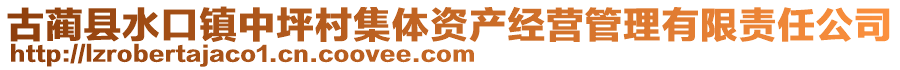 古藺縣水口鎮(zhèn)中坪村集體資產(chǎn)經(jīng)營(yíng)管理有限責(zé)任公司