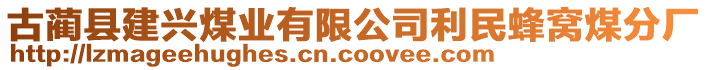 古藺縣建興煤業(yè)有限公司利民蜂窩煤分廠(chǎng)