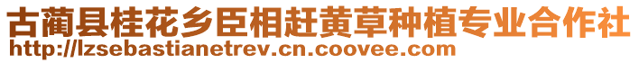 古藺縣桂花鄉(xiāng)臣相趕黃草種植專業(yè)合作社