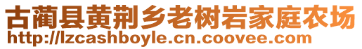 古藺縣黃荊鄉(xiāng)老樹巖家庭農(nóng)場