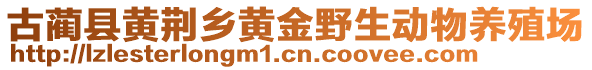 古蔺县黄荆乡黄金野生动物养殖场