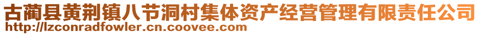 古藺縣黃荊鎮(zhèn)八節(jié)洞村集體資產(chǎn)經(jīng)營(yíng)管理有限責(zé)任公司