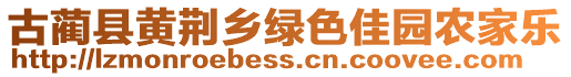 古藺縣黃荊鄉(xiāng)綠色佳園農(nóng)家樂