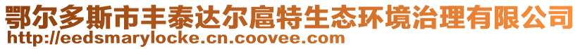 鄂尔多斯市丰泰达尔扈特生态环境治理有限公司